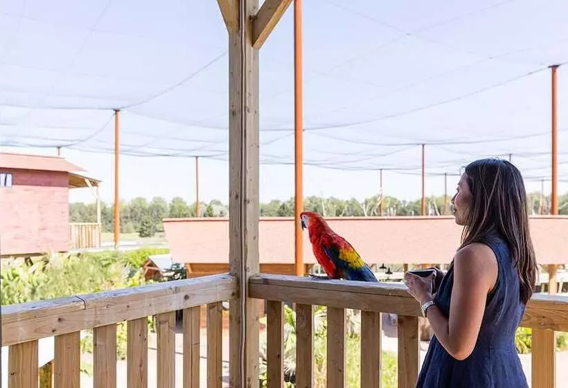 Hotelli Les Lodges   Parrot World