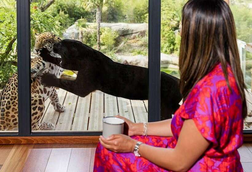 ホテル Les Lodges Parrot World