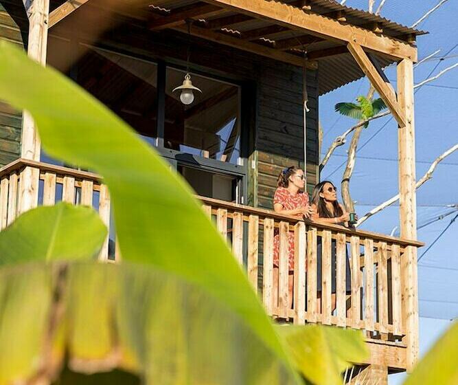 ホテル Les Lodges Parrot World