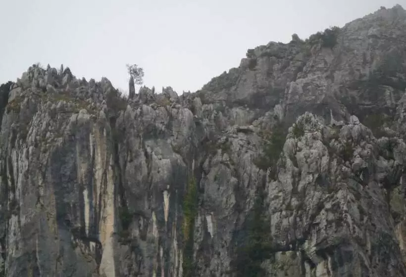 Hotelli Posada 3 Valles