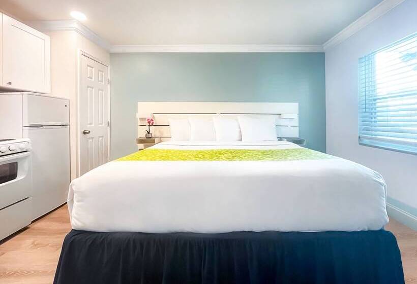 호텔 The Clevelander