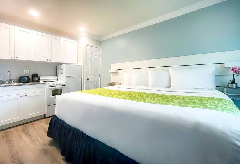 호텔 The Clevelander