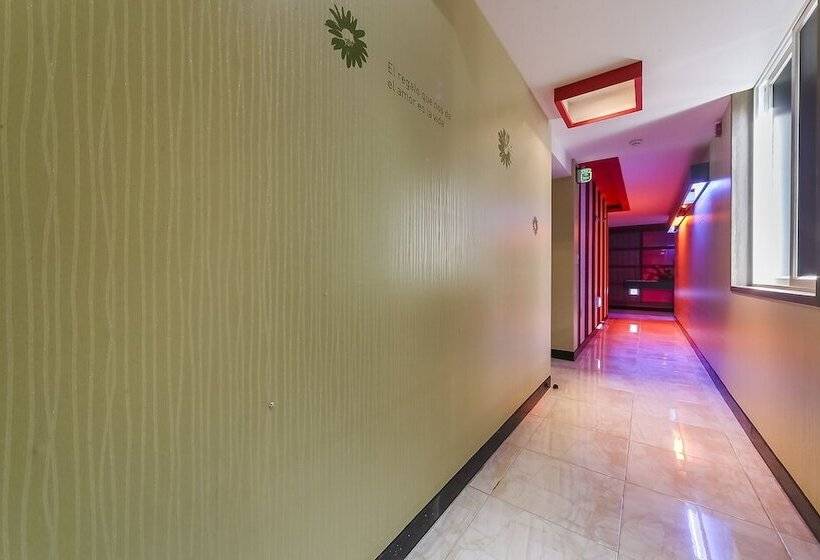 مُتل Ulsan Ilsan Biz