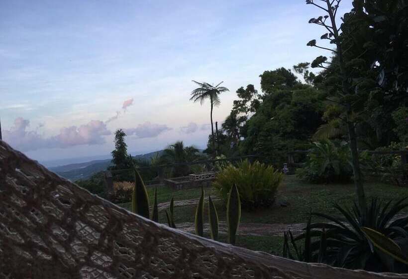 تختخواب و صبحانه Rainforest Inn