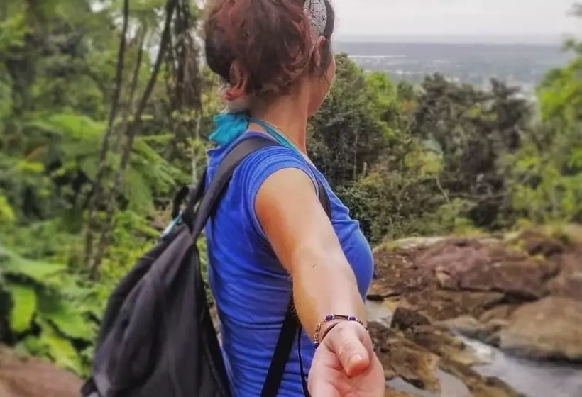 تختخواب و صبحانه Rainforest Inn