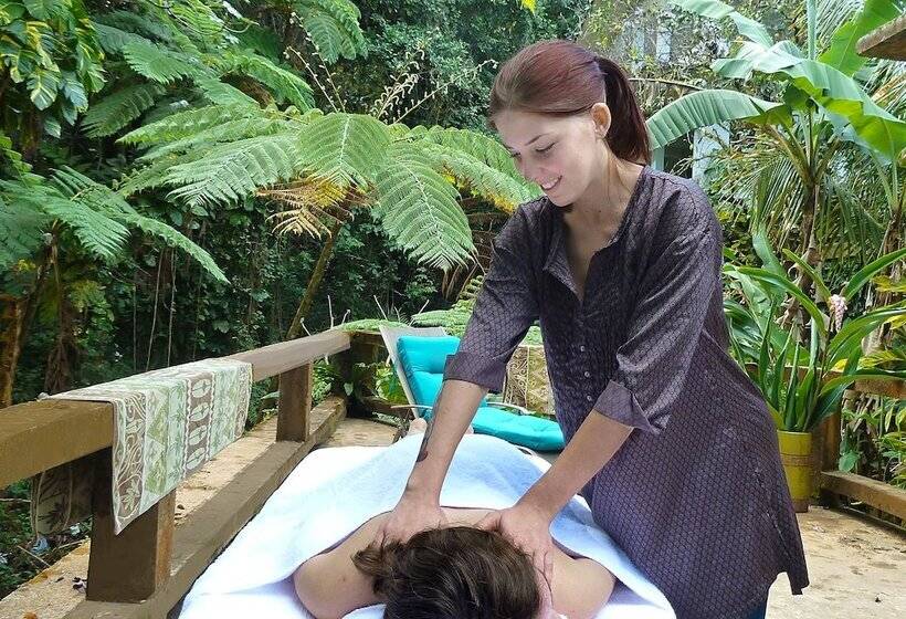 تختخواب و صبحانه Rainforest Inn