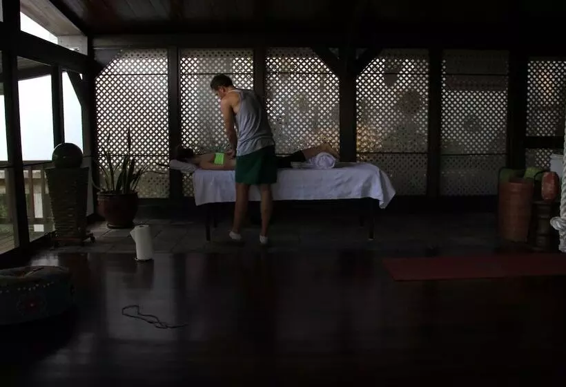 تختخواب و صبحانه Rainforest Inn