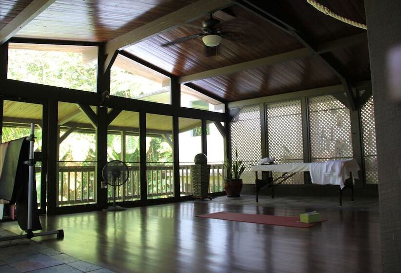 تختخواب و صبحانه Rainforest Inn