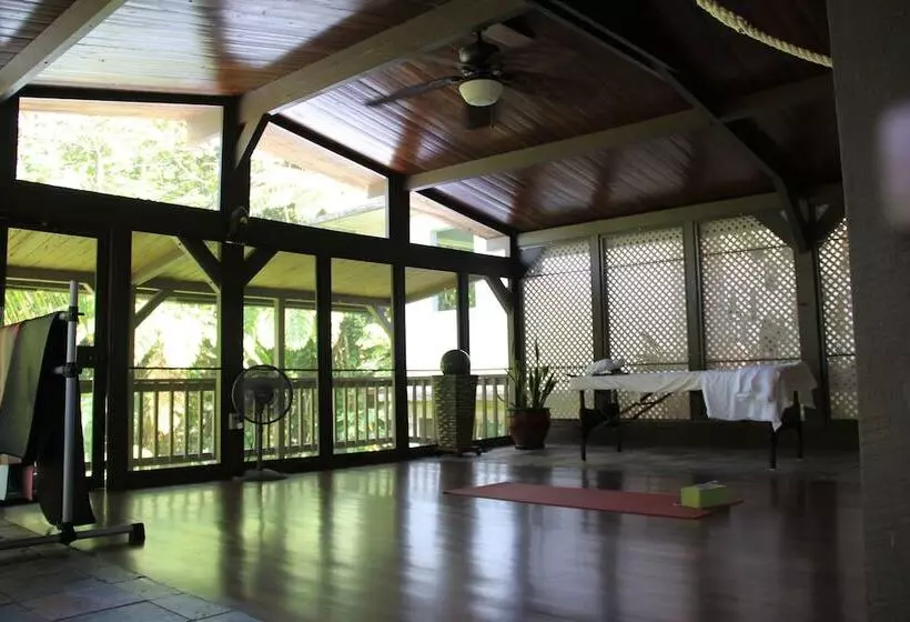 تختخواب و صبحانه Rainforest Inn