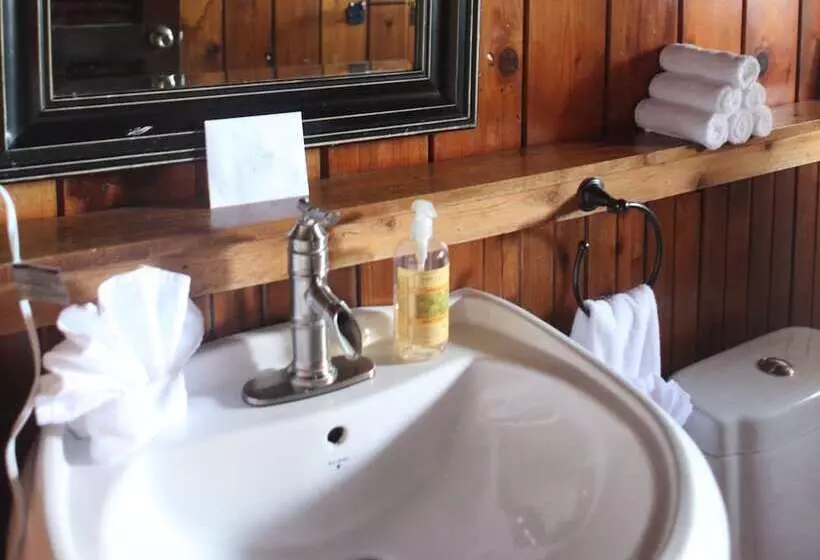 تختخواب و صبحانه Rainforest Inn