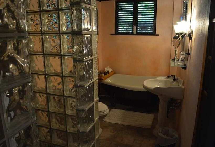 تختخواب و صبحانه Rainforest Inn