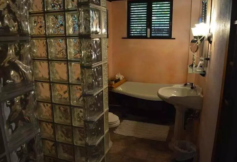 تختخواب و صبحانه Rainforest Inn