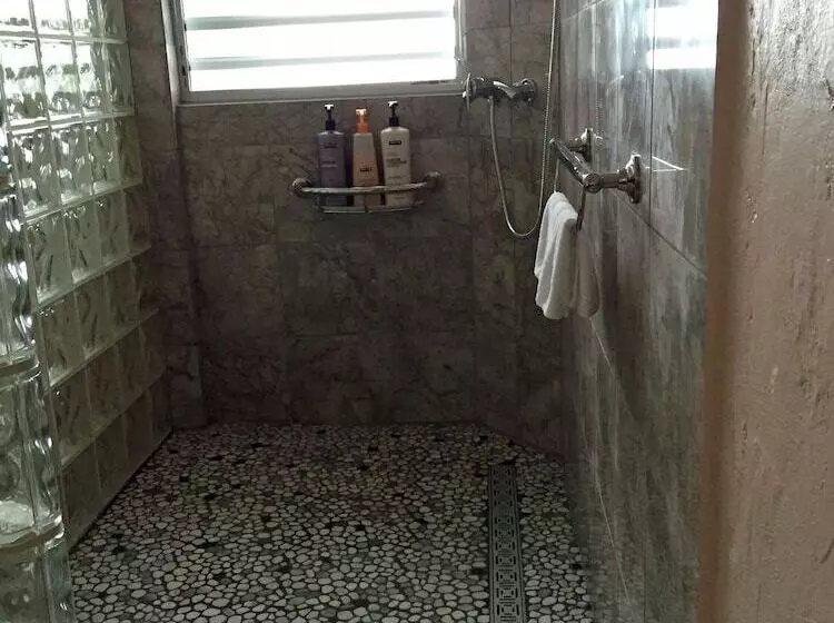 تختخواب و صبحانه Rainforest Inn