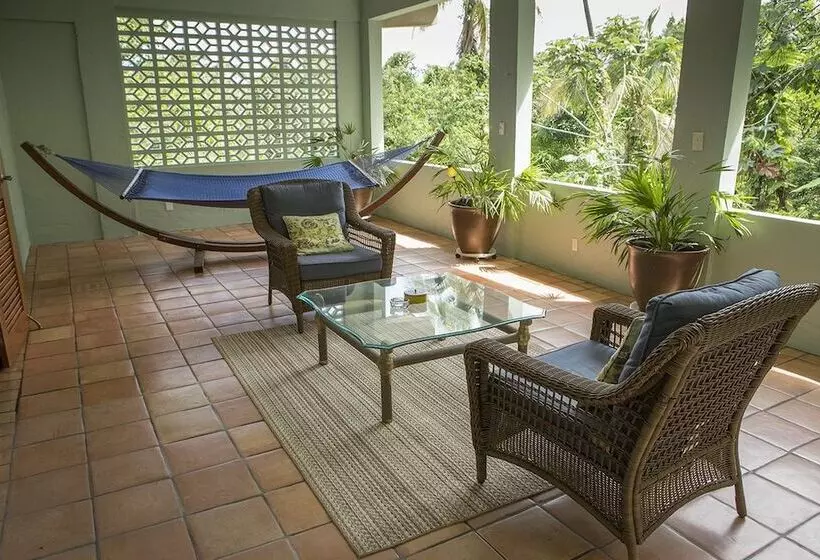 تختخواب و صبحانه Rainforest Inn