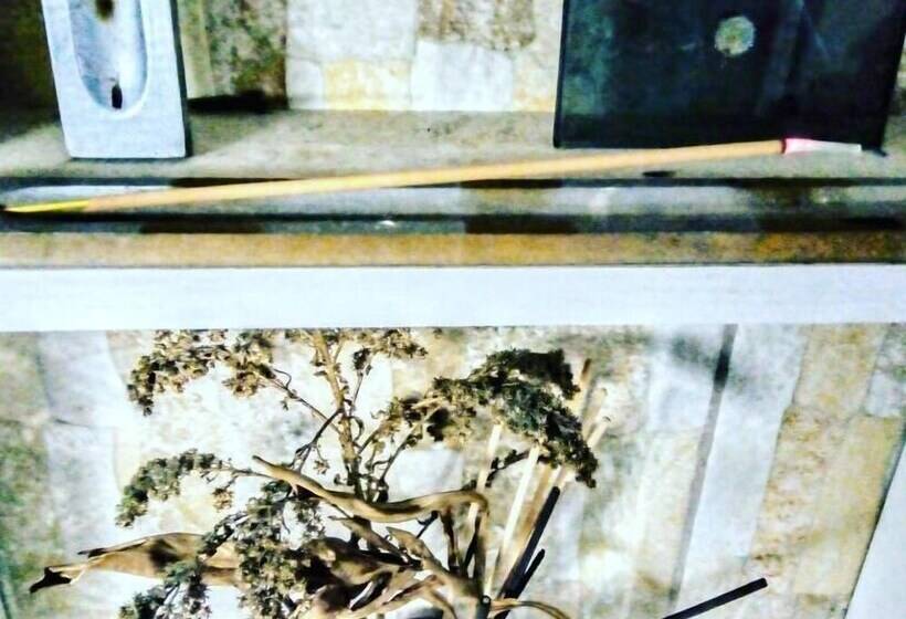 בית מלון כפרי Pousada Republica Zélia Barros