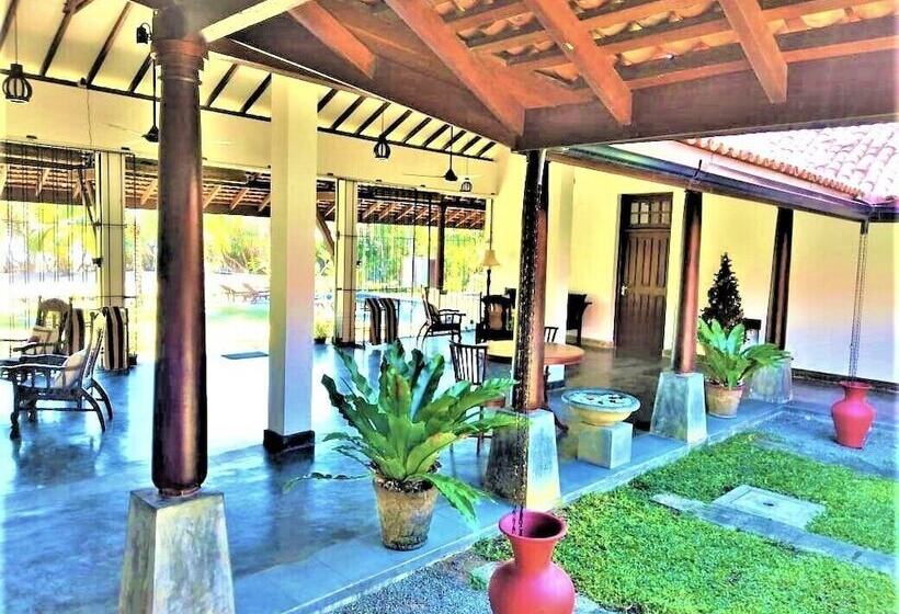 膳宿费 Ardeen Villa