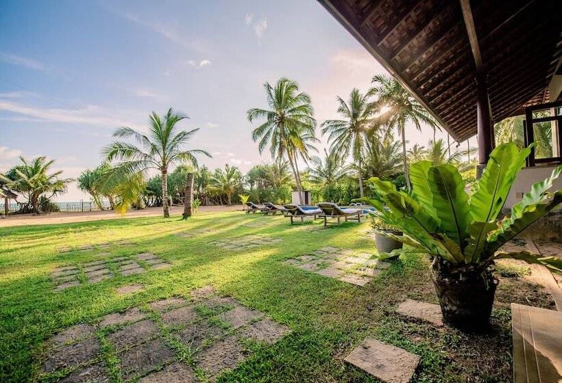 膳宿费 Ardeen Villa