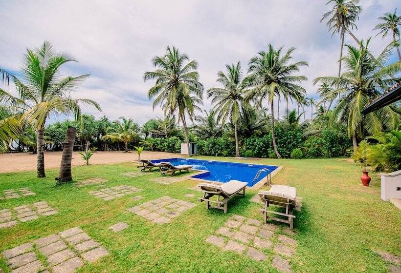 膳宿费 Ardeen Villa