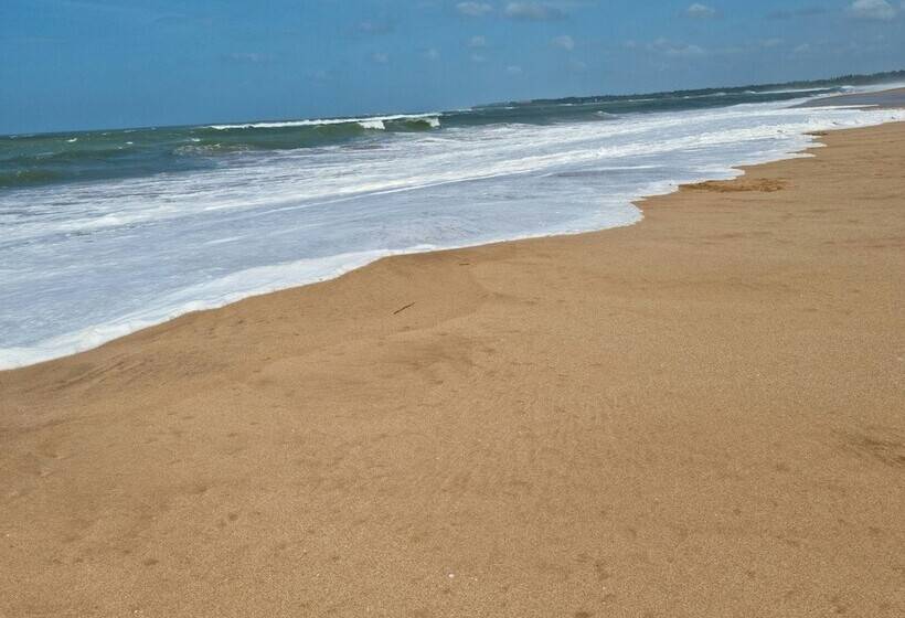 膳宿费 Ardeen Villa