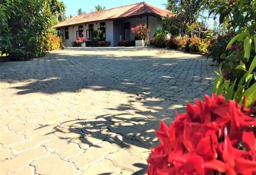 膳宿费 Ardeen Villa