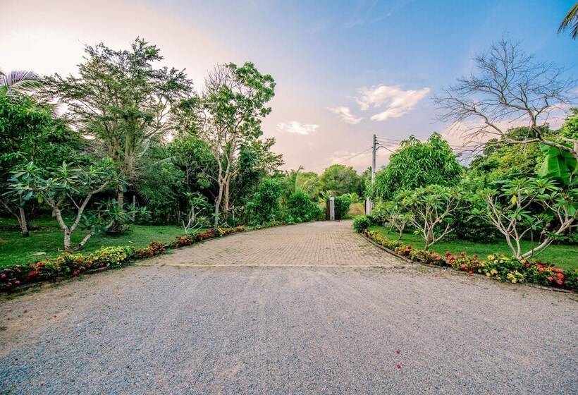 膳宿费 Ardeen Villa