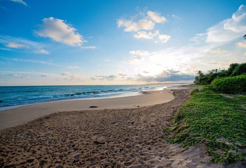 膳宿费 Ardeen Villa