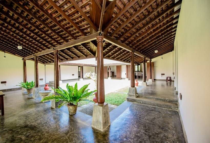 膳宿费 Ardeen Villa