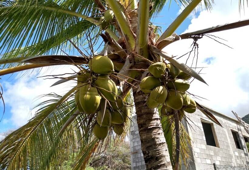 膳宿费 Mill House Guesthouse