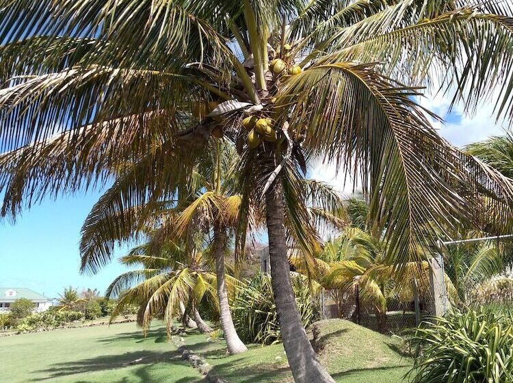 膳宿费 Mill House Guesthouse