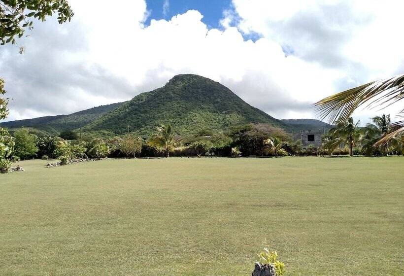 膳宿费 Mill House Guesthouse