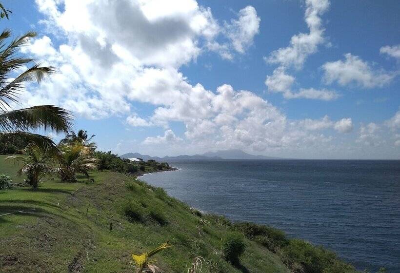 膳宿费 Mill House Guesthouse