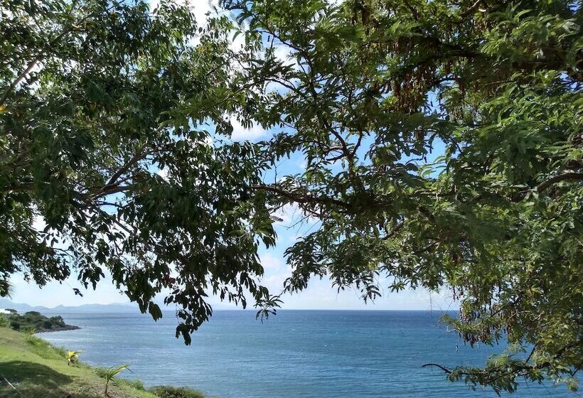 膳宿费 Mill House Guesthouse