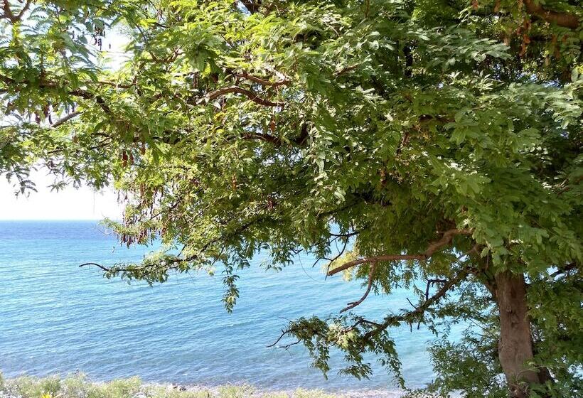 膳宿费 Mill House Guesthouse