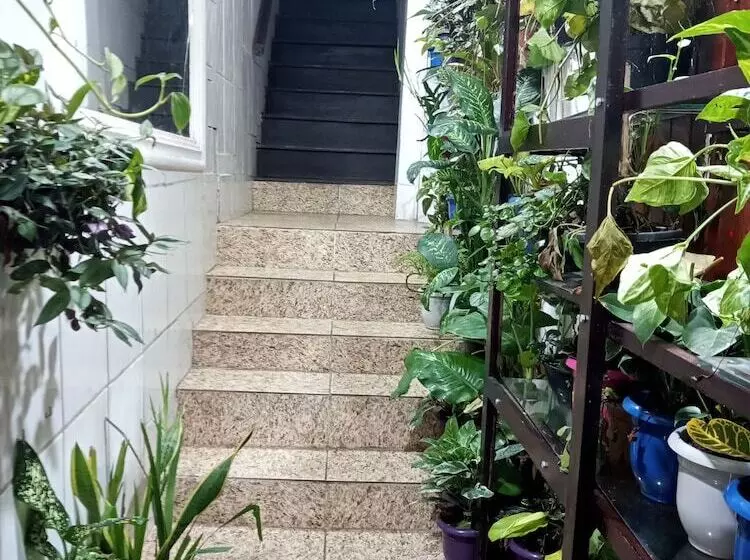 Albergue Da Lucia