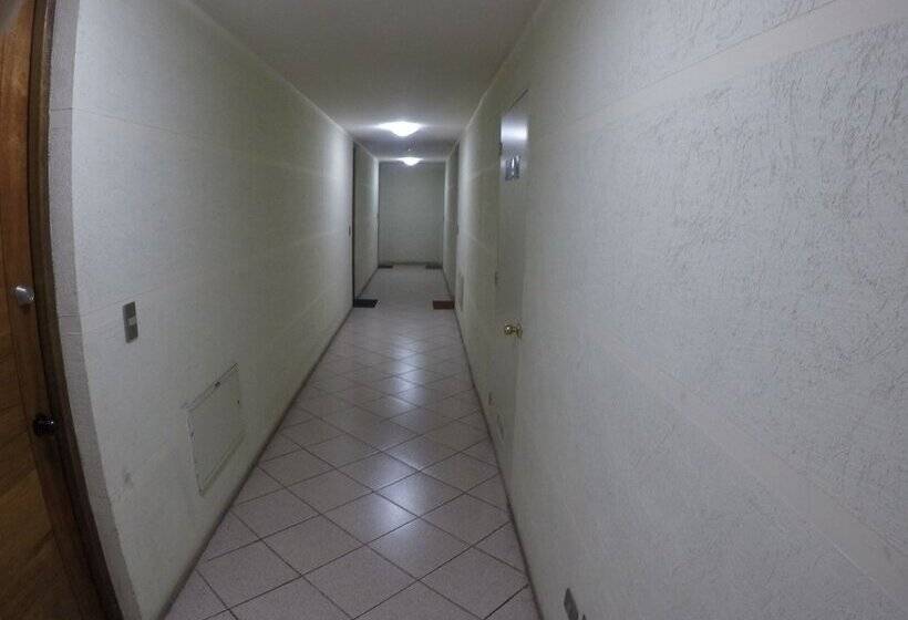 Apartamentos Chilenos