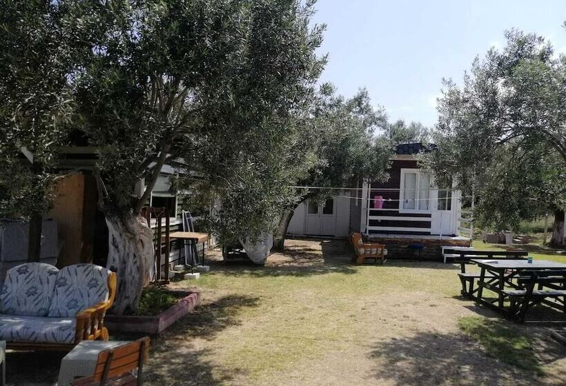 تختخواب و صبحانه Fesleğen Bungalow