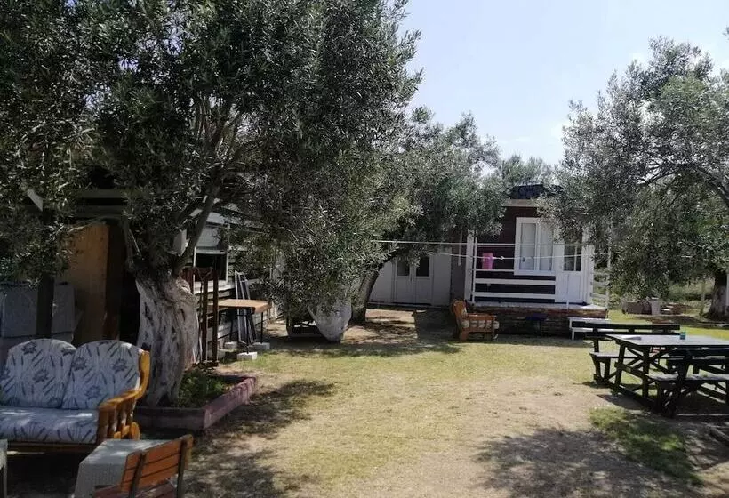 Aamiaismajoitus (B&B) Fesleğen Bungalow