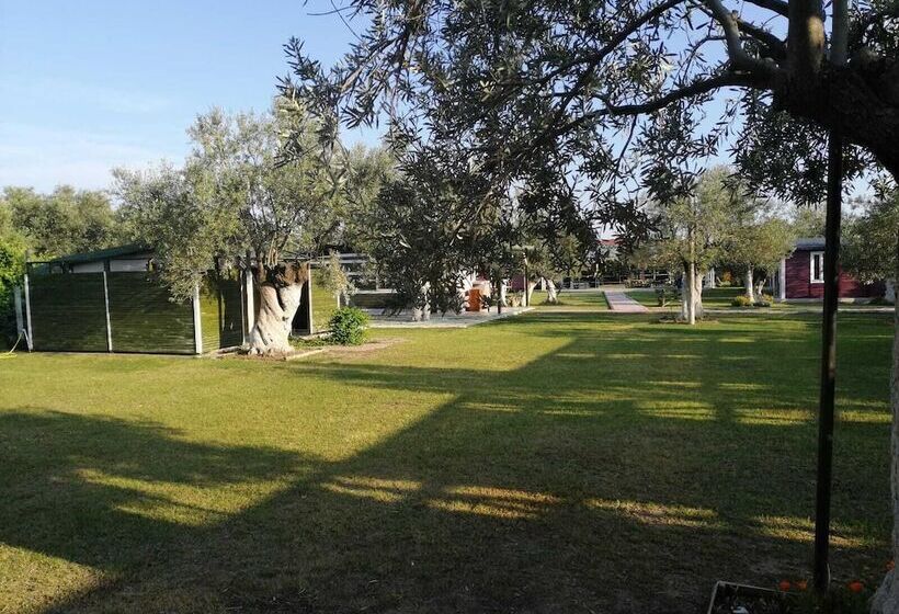 تختخواب و صبحانه Fesleğen Bungalow