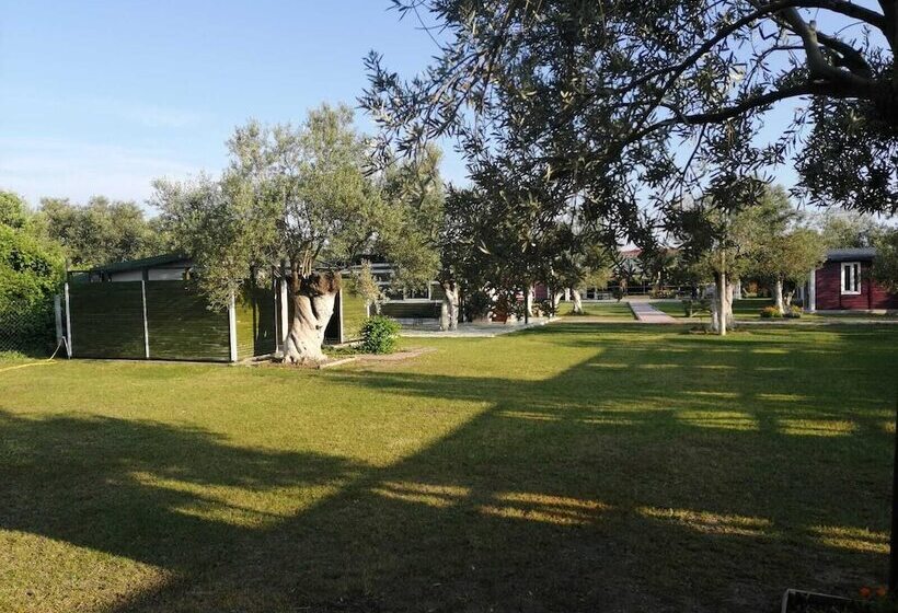 تختخواب و صبحانه Fesleğen Bungalow