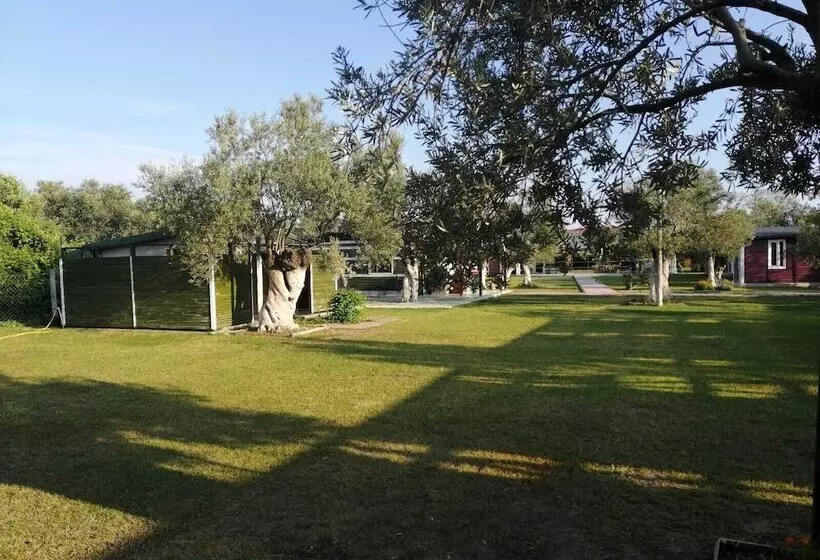 Aamiaismajoitus (B&B) Fesleğen Bungalow