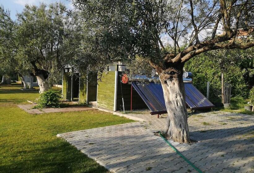 تختخواب و صبحانه Fesleğen Bungalow