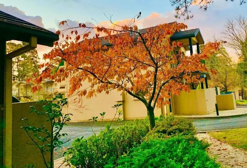 Falls Mountain Retreat