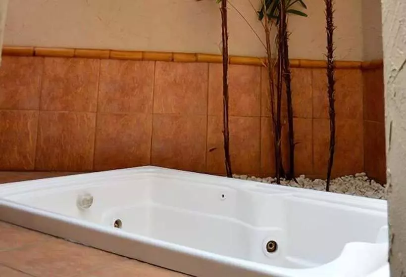 Flamboyant Motel   Adults Only