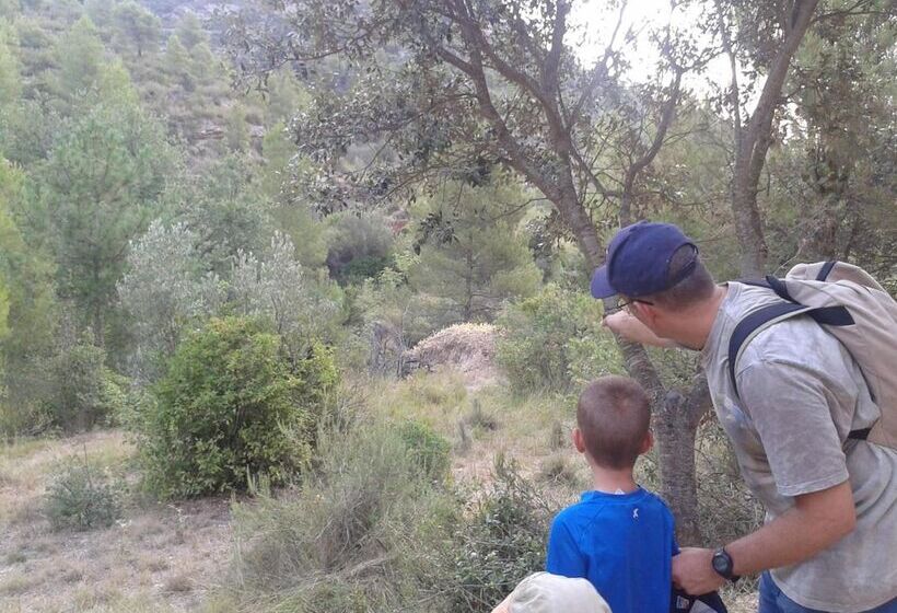 酒店 Apartaments Mo