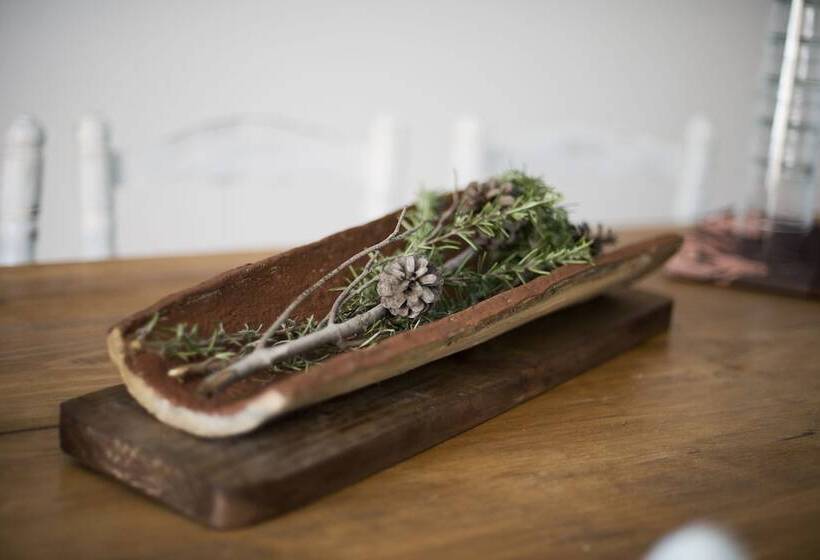 Отель Apartaments Mo