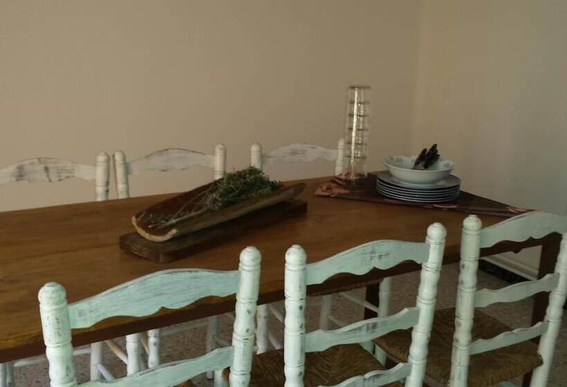 酒店 Apartaments Mo