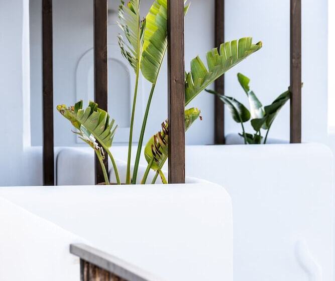 Отель Parea Paros   Adults Only