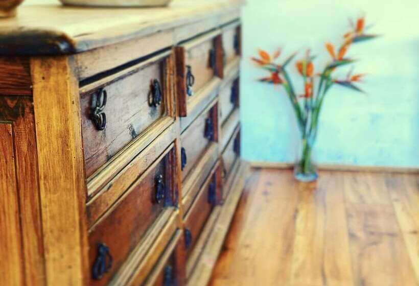 乡村酒店  Casa Lunah Cabalgatas Y Meditación