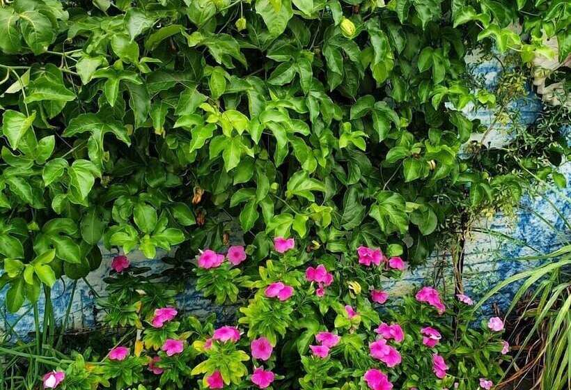 Пансион Doce Lar Residencia