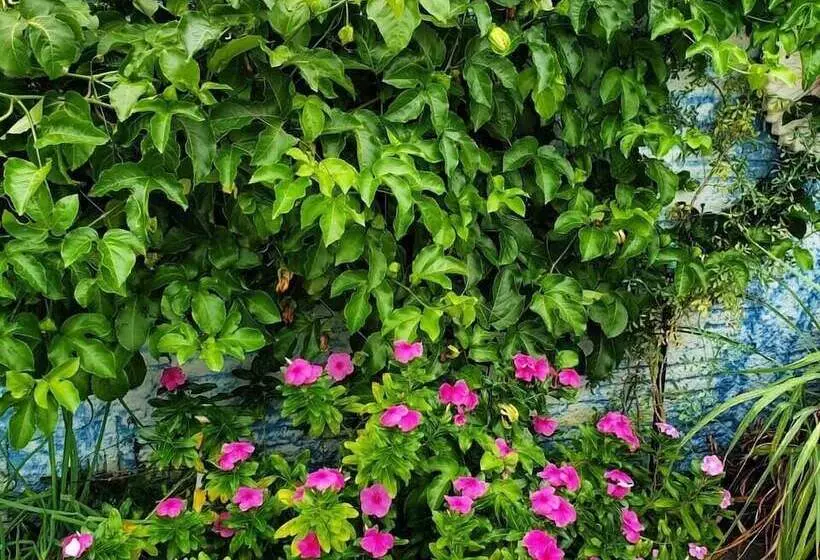 ペンション Doce Lar Residencia